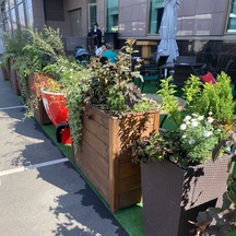 Фитодизайн летней  веранды