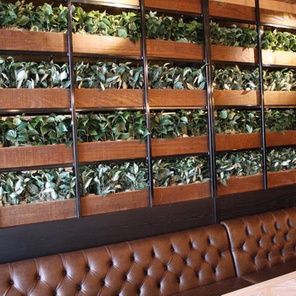 Фитодизайн ресторанов