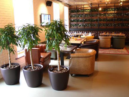 Сервисный уход