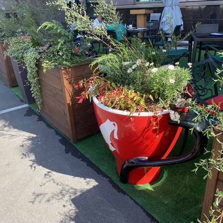 Фитодизайн летней  веранды