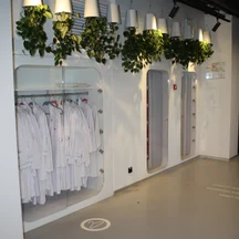 Филодендрон сканденс