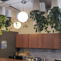 Фитодизайн офиса