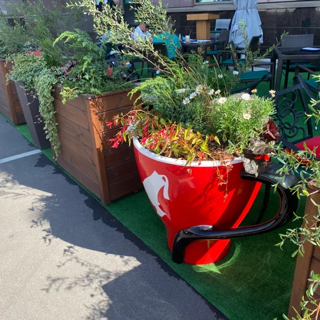 Фитодизайн летней  веранды