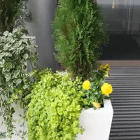 Сервисный уход