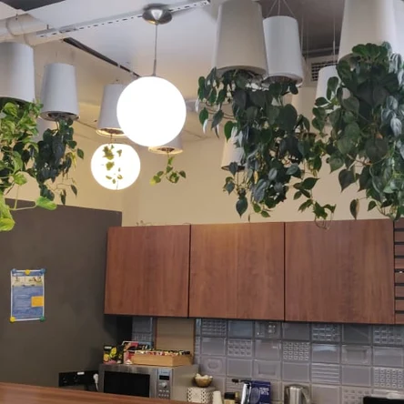 Комлексное обслуживание компаний по уходу за горшечными растениями