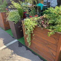 Фитодизайн летней  веранды