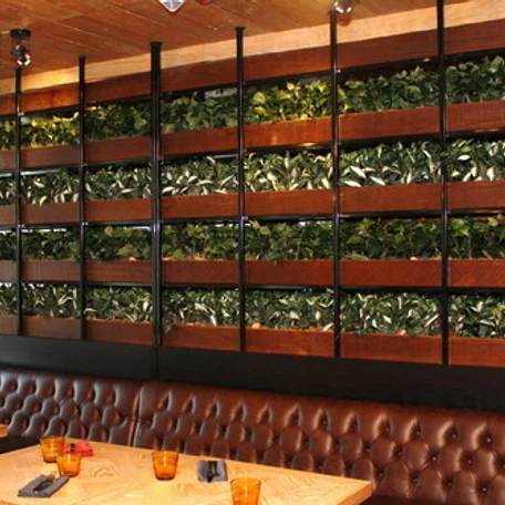 Фитодизайн ресторана