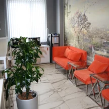 Драцена Компакта Дорадо