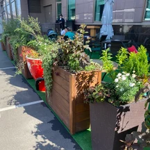 Фитодизайн летней  веранды