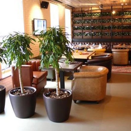 Сервисный уход